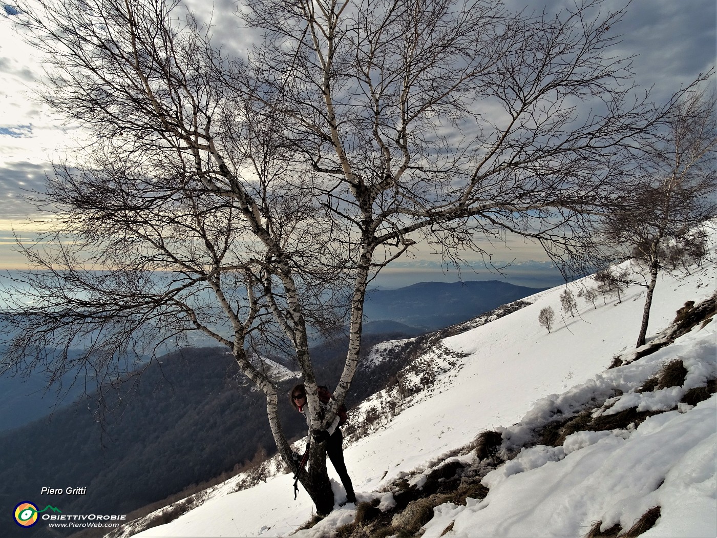 55 Betulla panoramica verso la pianura.JPG